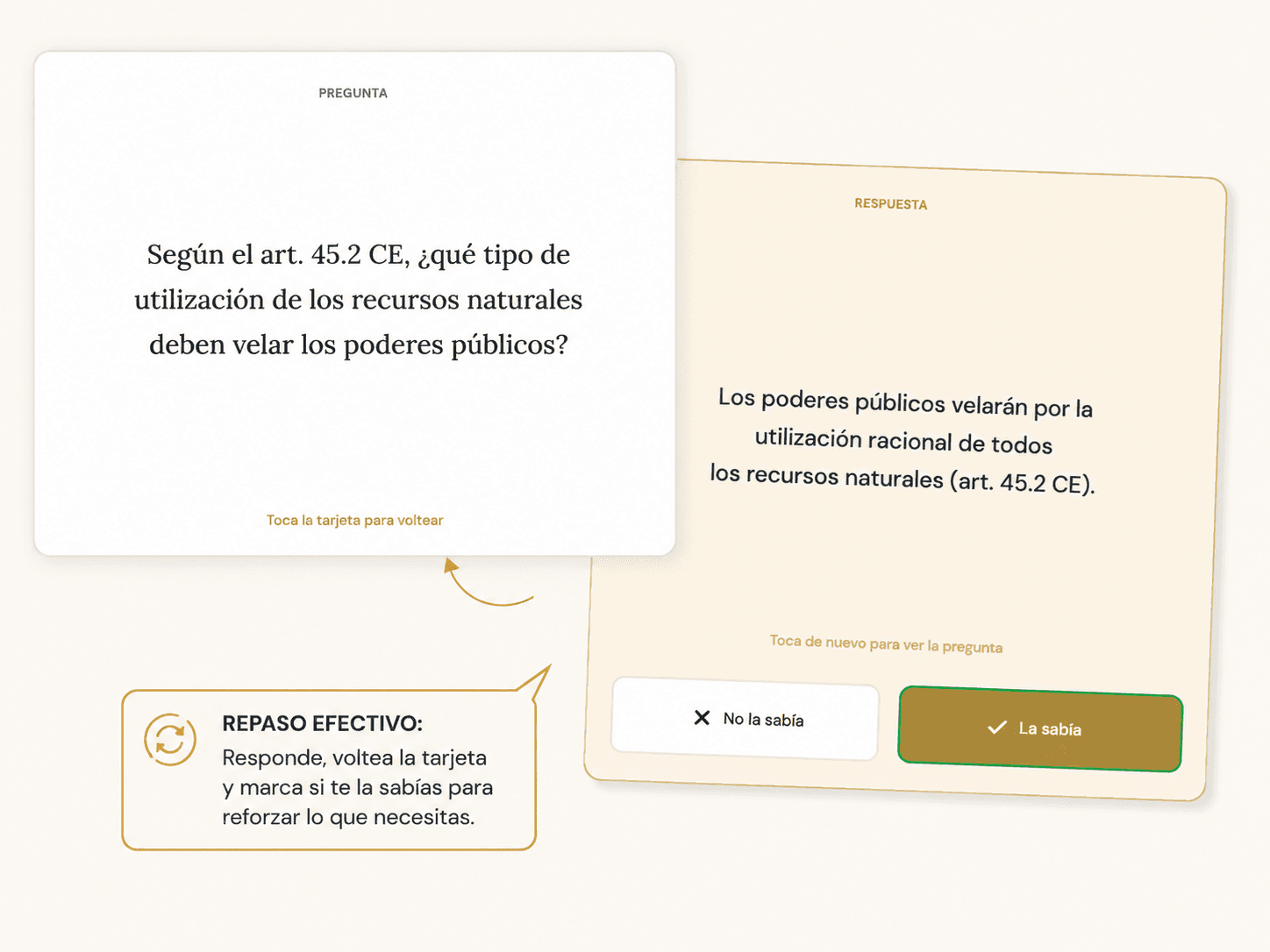 Captura de tarjeta de memoria flashcard con cara y reverso